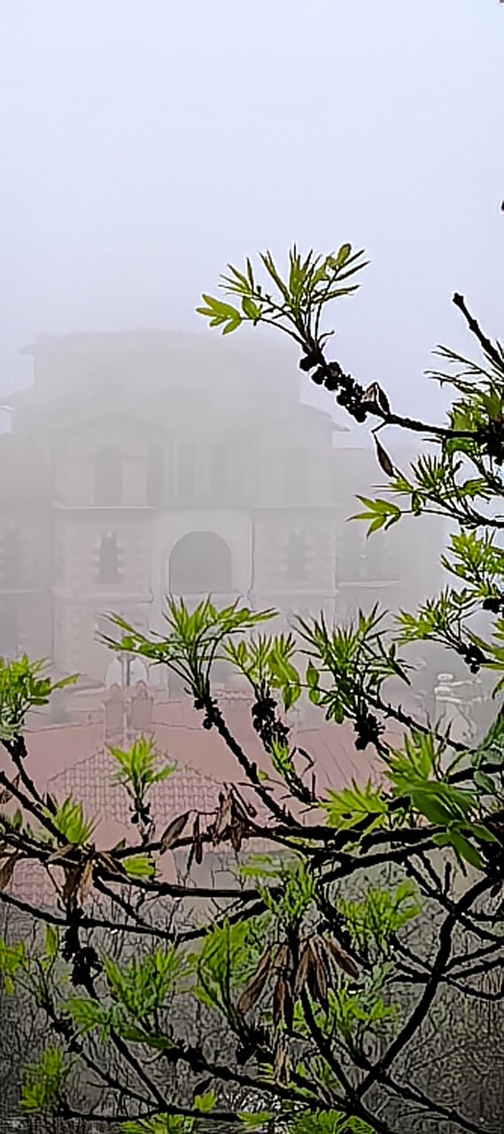 Гостиница Вилла Балгатура Гурзуф-133