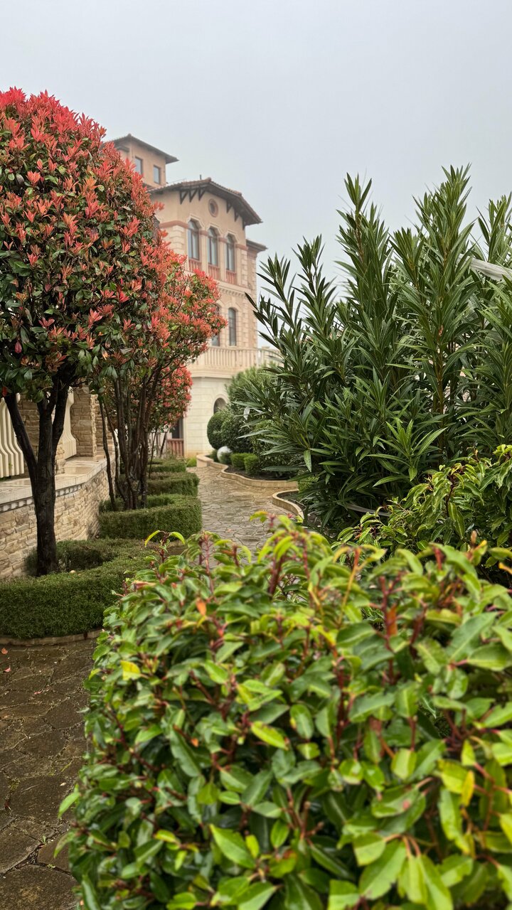 Гостиница Вилла Балгатура Гурзуф-110