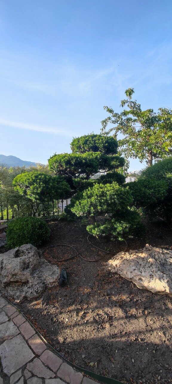 Гостиница Вилла Балгатура Гурзуф-249