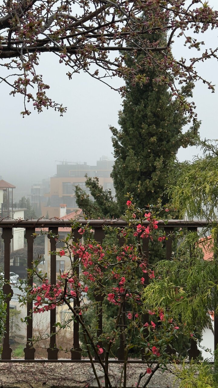 Гостиница Вилла Балгатура Гурзуф-218