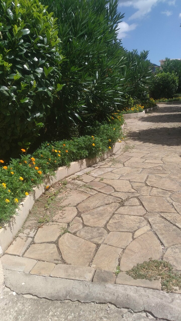 Гостиница Вилла Балгатура Гурзуф-139