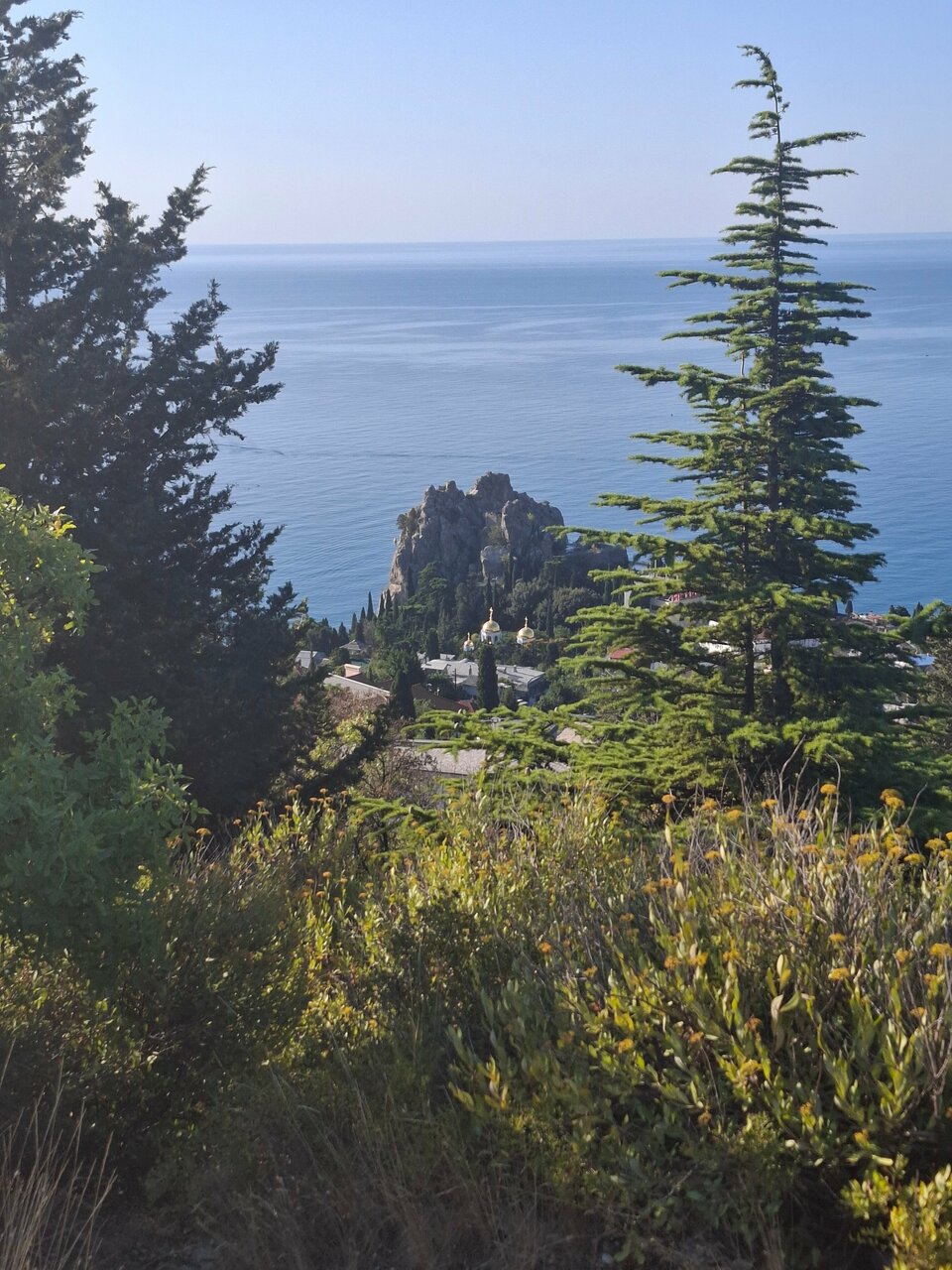 Гостиница Вилла Балгатура Гурзуф-136