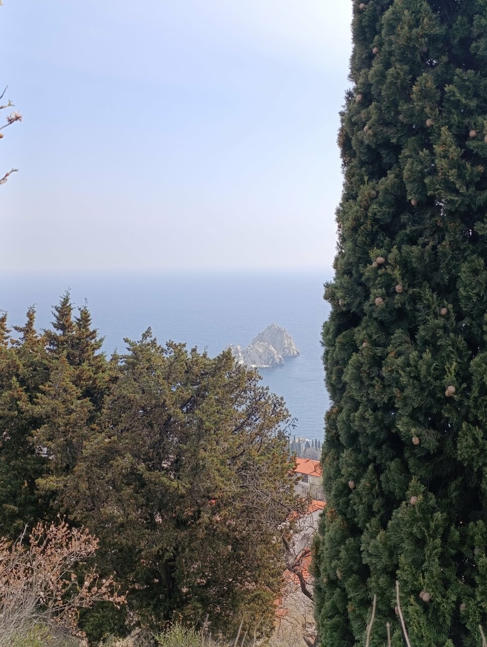 Гостиница Вилла Балгатура Гурзуф-192