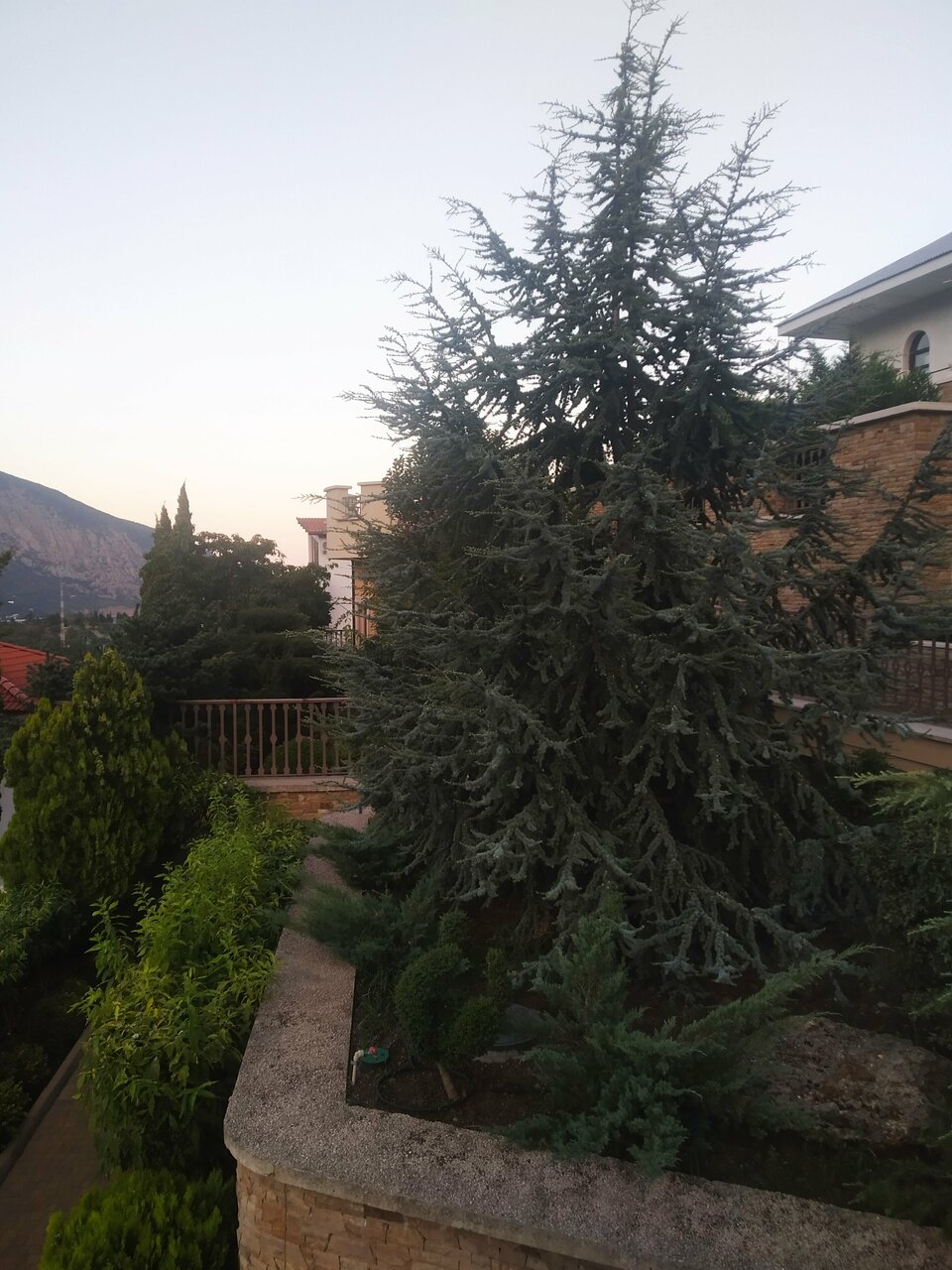 Гостиница Вилла Балгатура Гурзуф-175