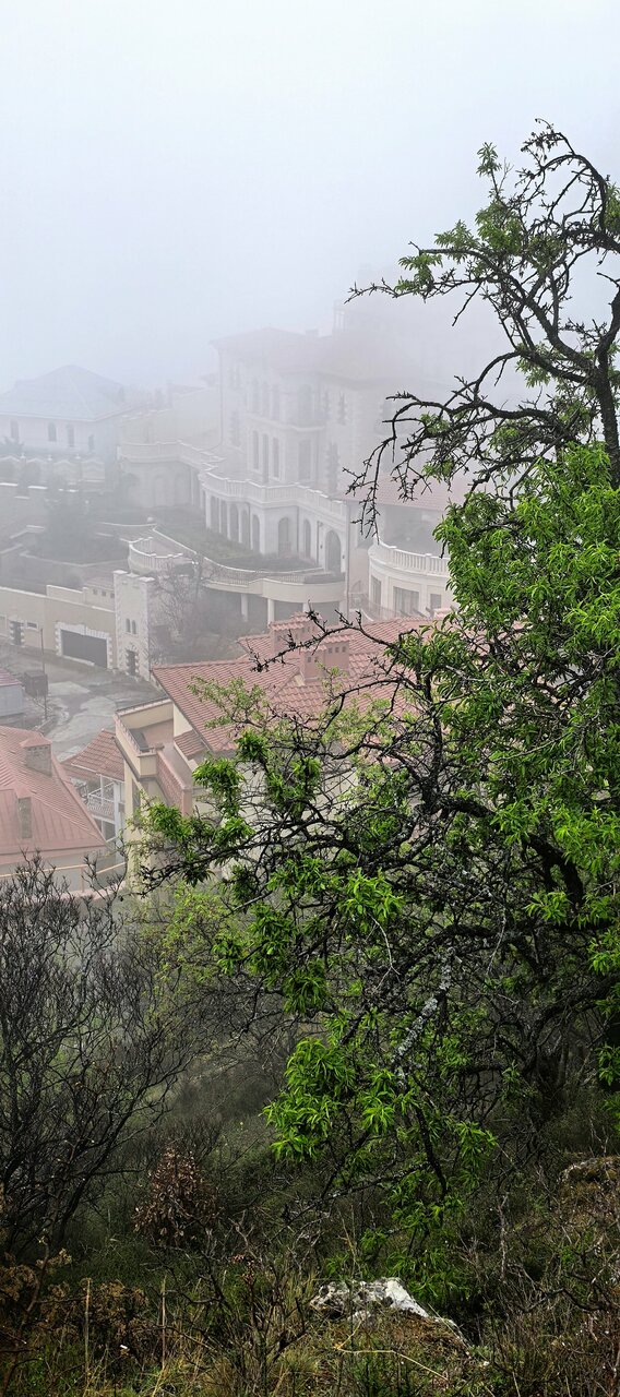 Гостиница Вилла Балгатура Гурзуф-108