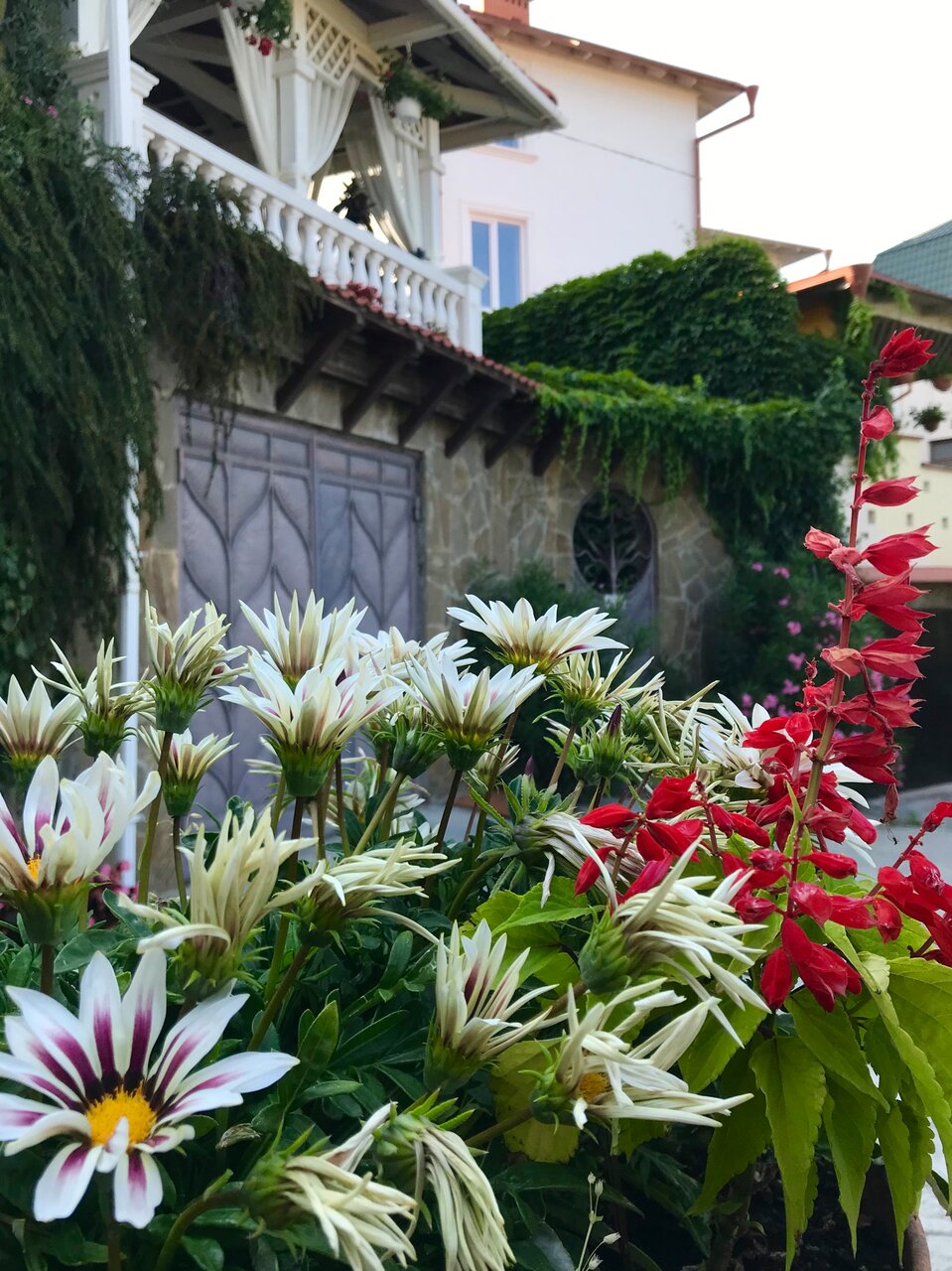 Гостиница Вилла Балгатура Гурзуф-75