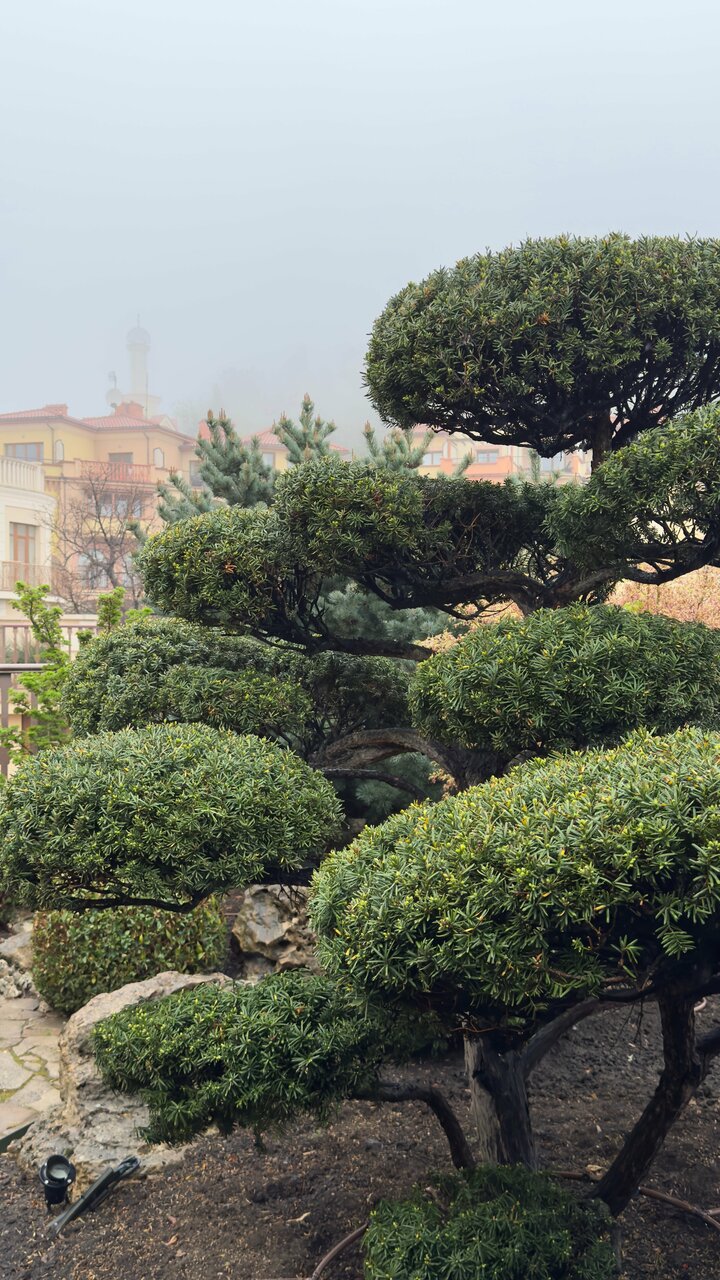 Гостиница Вилла Балгатура Гурзуф-82