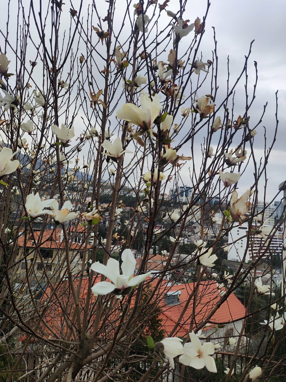 Гостиница Вилла Балгатура Гурзуф-149