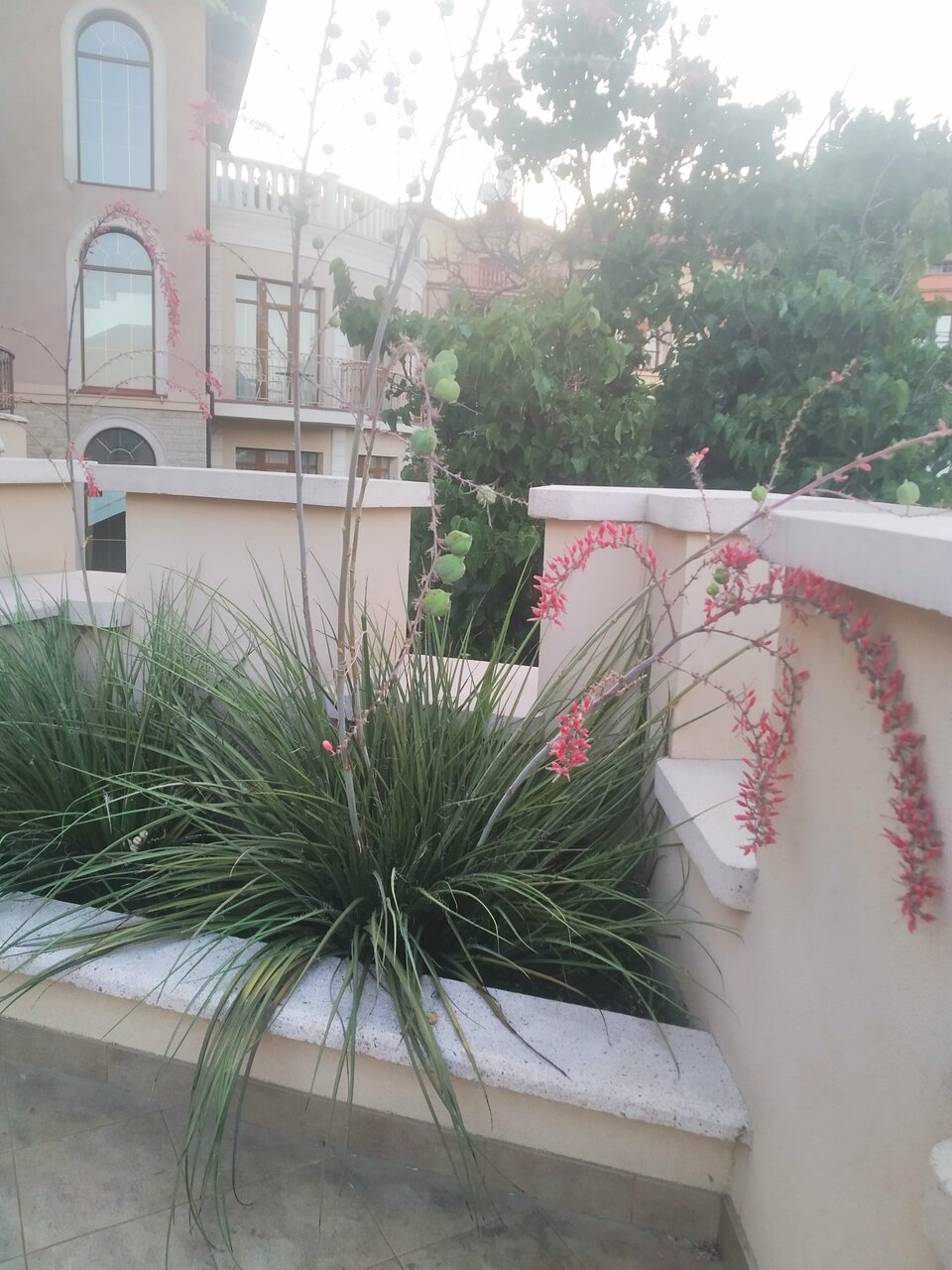 Гостиница Вилла Балгатура Гурзуф-214