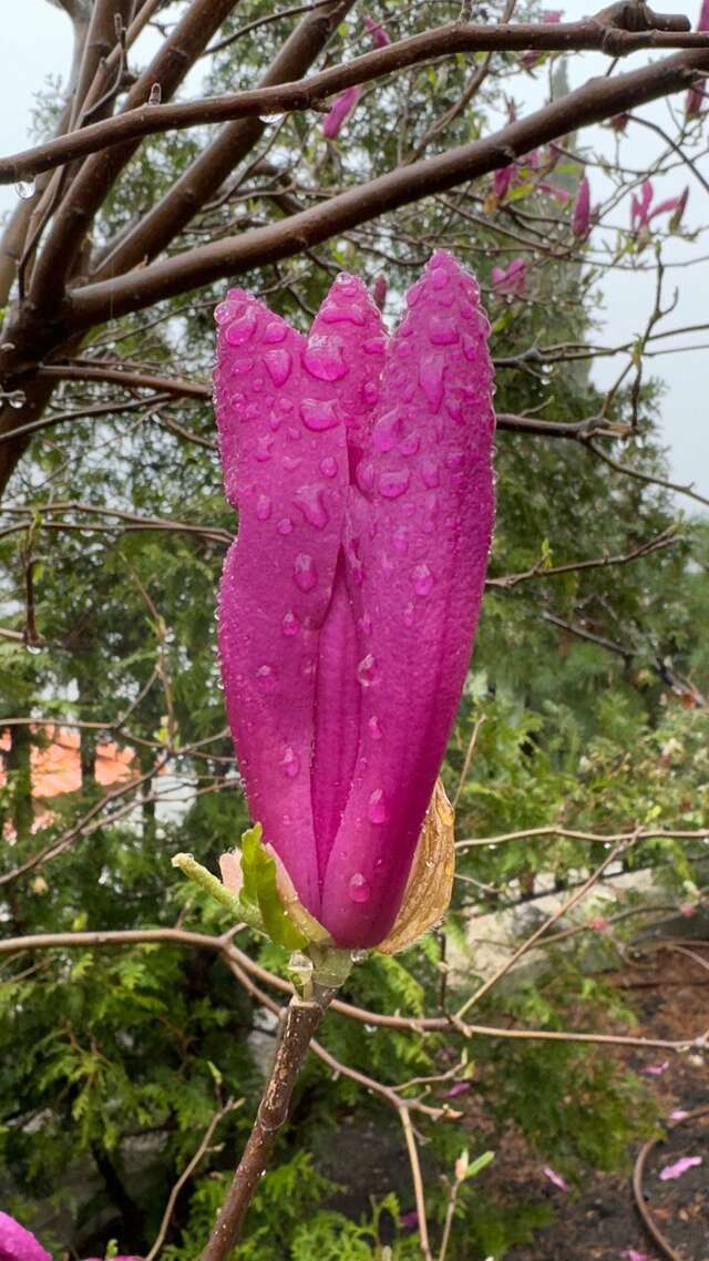 Гостиница Вилла Балгатура Гурзуф-125