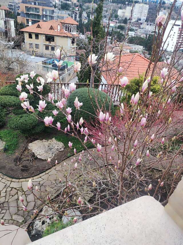 Гостиница Вилла Балгатура Гурзуф-97