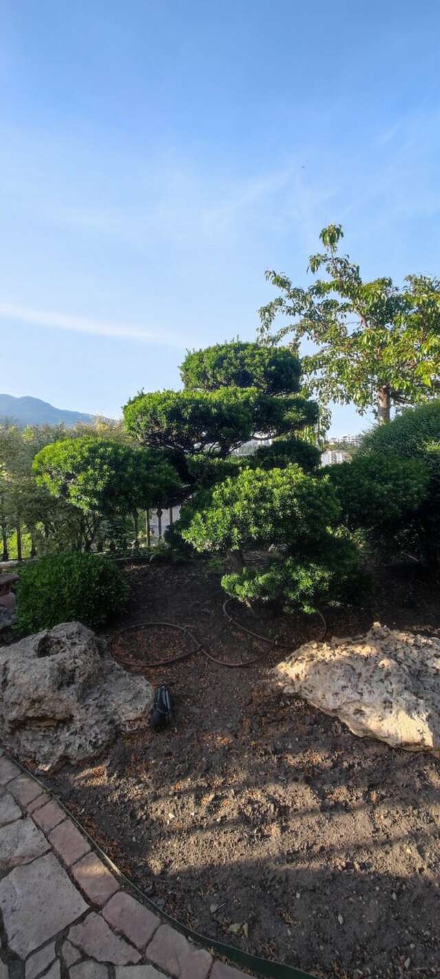 Гостиница Вилла Балгатура Гурзуф-248