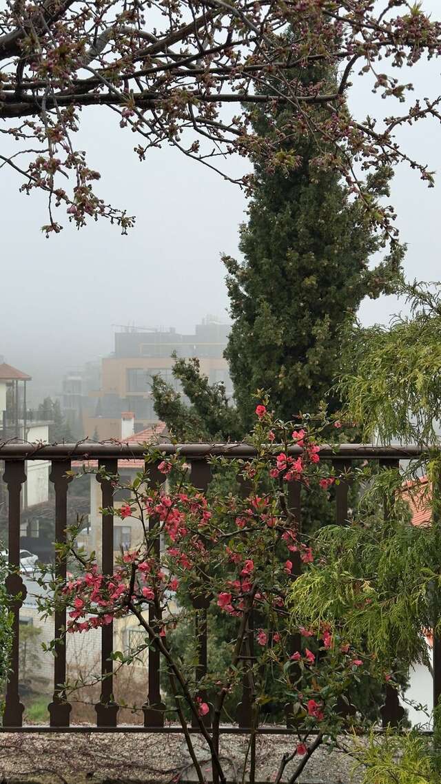 Гостиница Вилла Балгатура Гурзуф-217