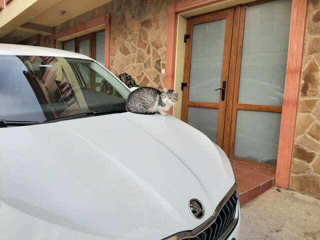 Гостиница Вилла Балгатура Гурзуф-84