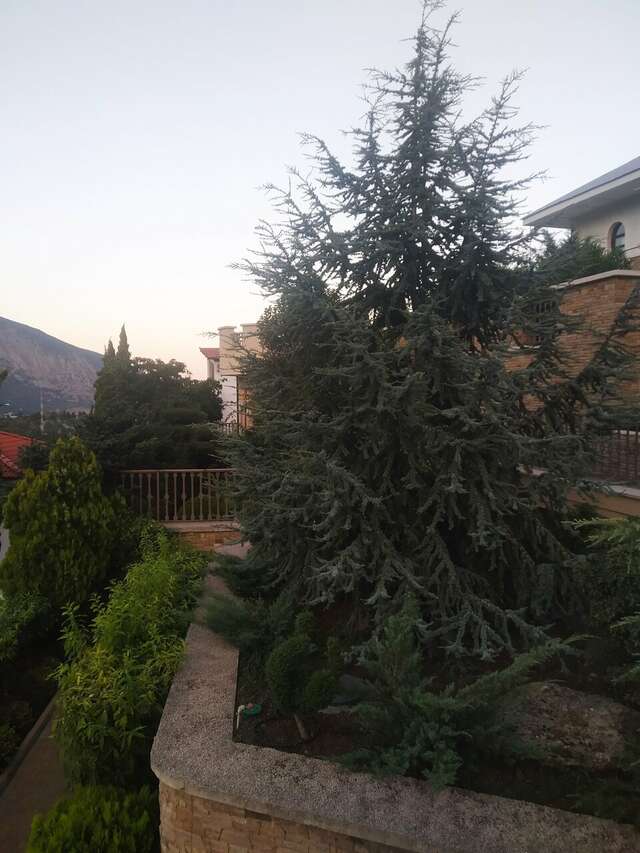 Гостиница Вилла Балгатура Гурзуф-174