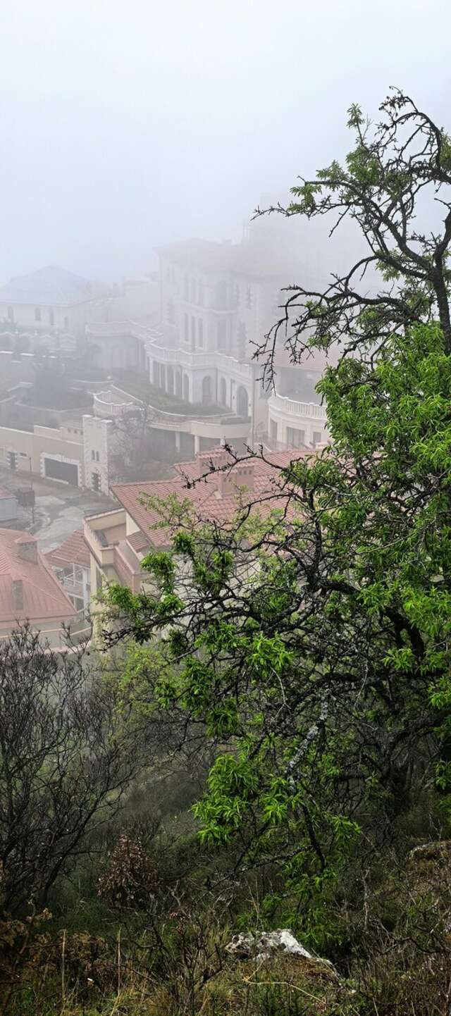 Гостиница Вилла Балгатура Гурзуф-107