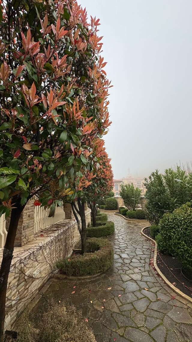 Гостиница Вилла Балгатура Гурзуф-172