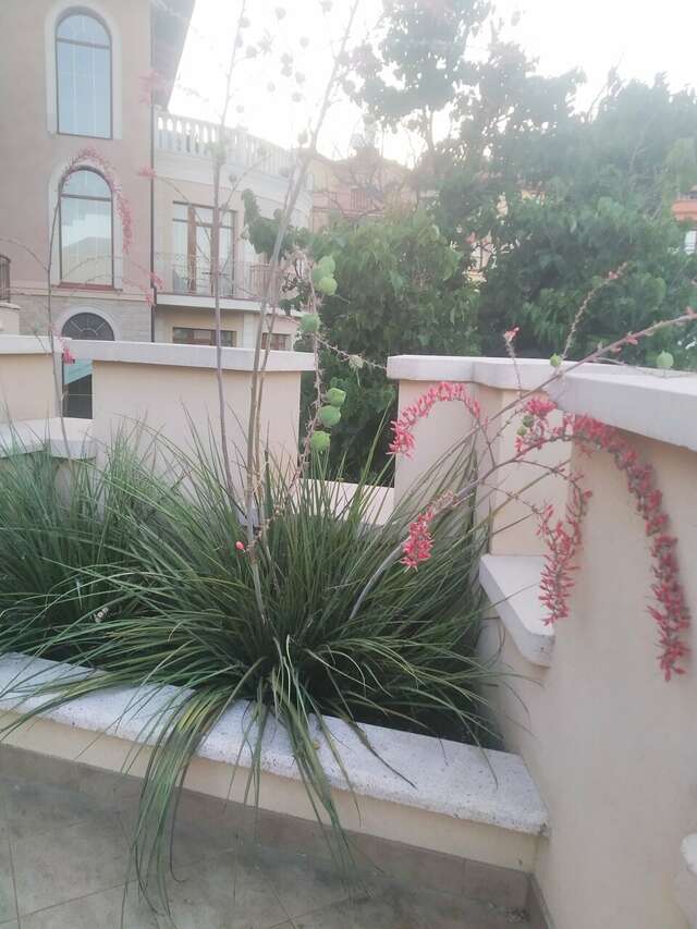 Гостиница Вилла Балгатура Гурзуф-213